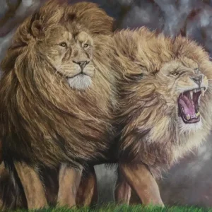 2 Lions_Sally Clark