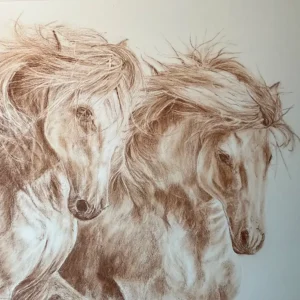 CAMARGUE HORSES SIDE BY SIDE_Sally Clark