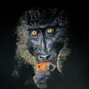 MANDRELL EATING AN ORANGE_Sally Clark