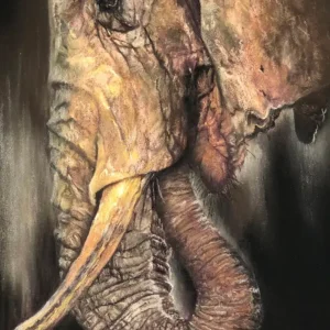 Elephant_Sally Clark