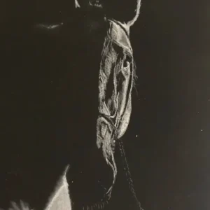 HORSE IN SILLOUETTE_Sally Clark