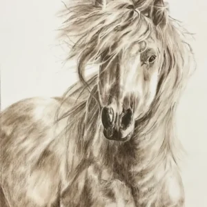 HORSE IN THE WIND_Sally Clark