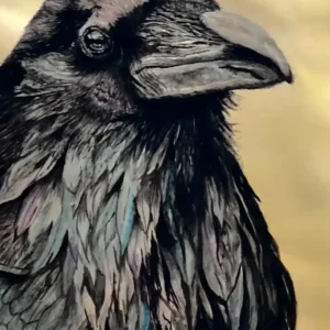 RAVEN IN WATERCOLOR_Sally Clark