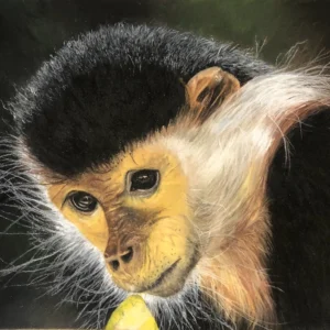 MELLOW YELLOW FELLOW_Sally Clark