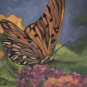 Butterfly on Pin Azalea copy