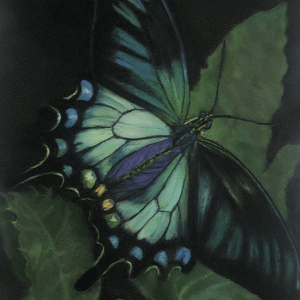 Emerald Monarch Pastel copy
