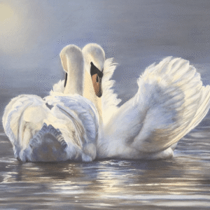 Love In The Mist