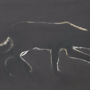 Moonlit Prowl